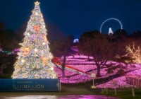 Sagamiko Winter Illumination