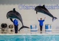 Otaru Aquarium