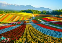 Biei Patchwork Road & Panorama Road