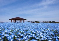 Uminokamichi Seaside Park