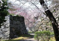Fukuoka Castle Ruins