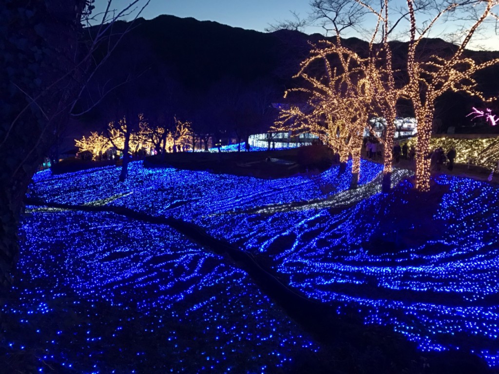 河口湖からの美しい冬のイルミネーションと富士山の眺めを楽しむ 0