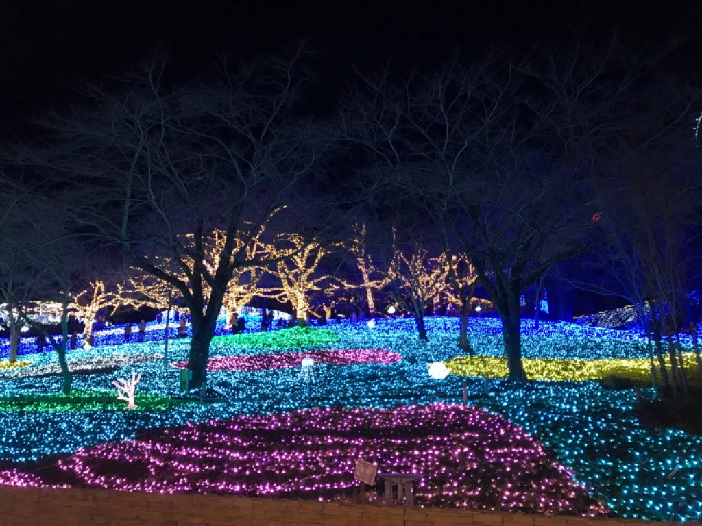 河口湖からの美しい冬のイルミネーションと富士山の眺めを楽しむ 1