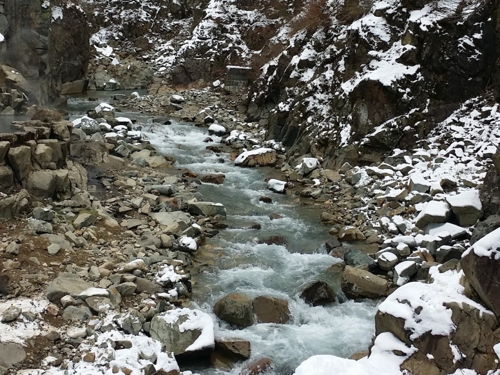Day Trip to see Monkey Bath in Hotspring 3