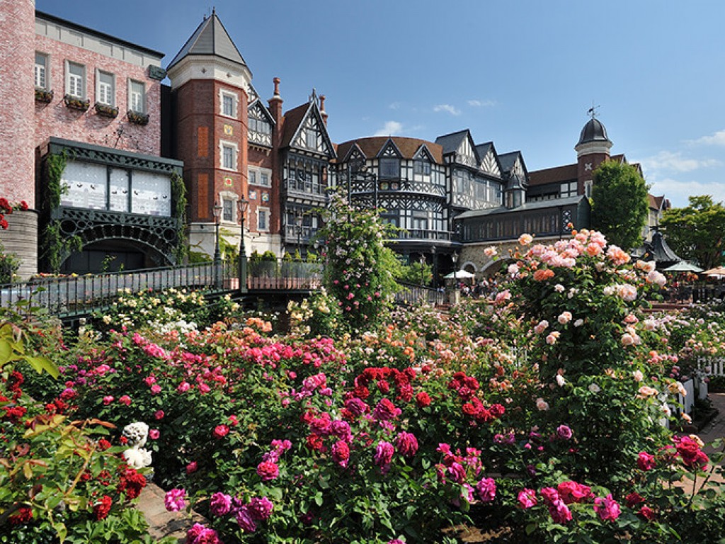 Sapporo Day Tour – Private Car & Driver 5