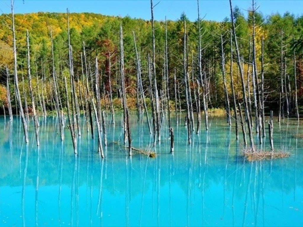Tour Melihat Keindahan Alam Es dan Salju di Musim Dingin Hokkaido - Sewa Mobil dan Supir 6