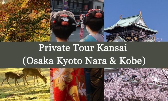 4D3N Cheap Private Land Tour Kansai (Osaka Kyoto Nara & Kobe)