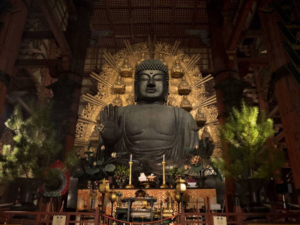 4D3N Cheap Private Land Tour Kansai (Osaka Kyoto Nara & Kobe) 8