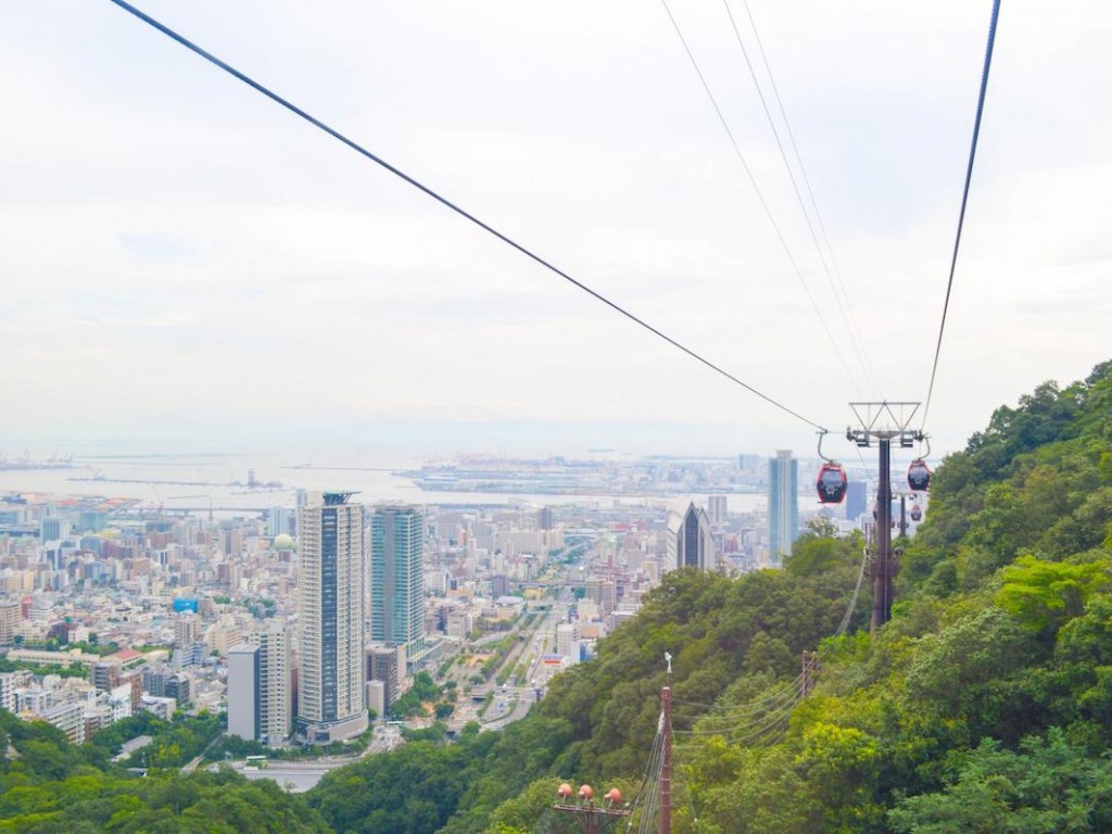 4D3N Cheap Private Land Tour Kansai (Osaka Kyoto Nara & Kobe) 9