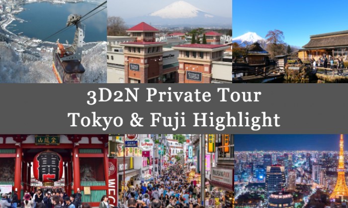 3D2N Cheap Private Land Tour Tokyo & Fuji