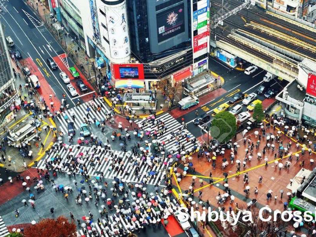 3D2N Cheap Private Land Tour Tokyo & Fuji 2