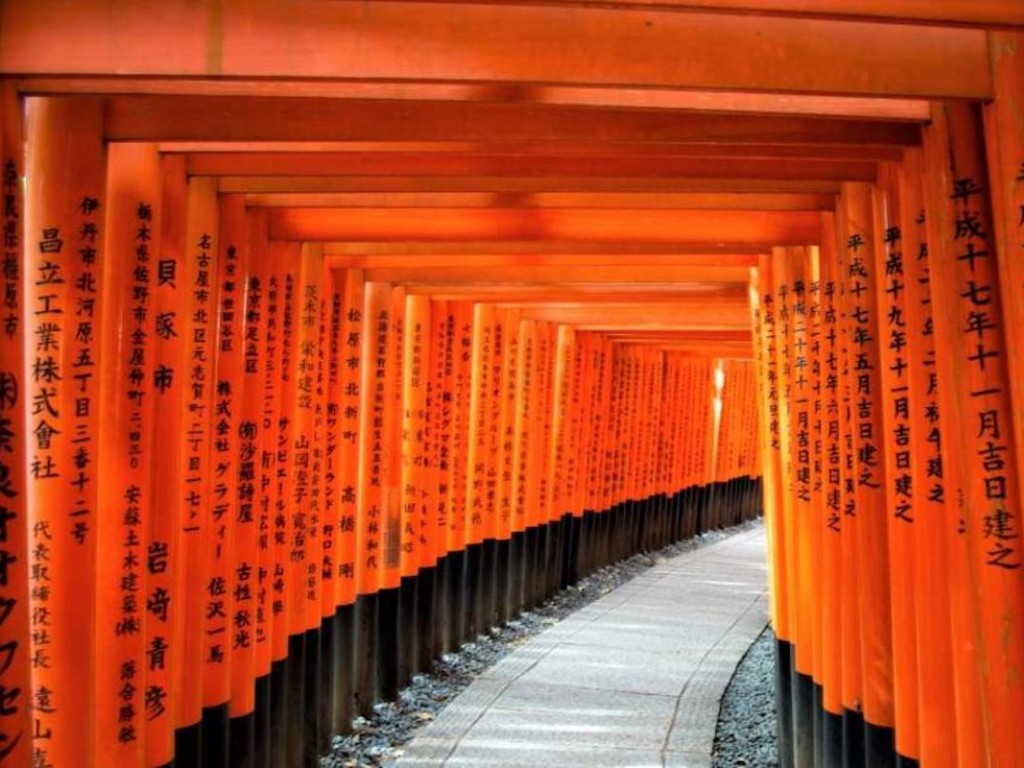 4D3N Cheap Bus Land Tour Package in Osaka Kyoto Nara & Kobe (Sold out) 5