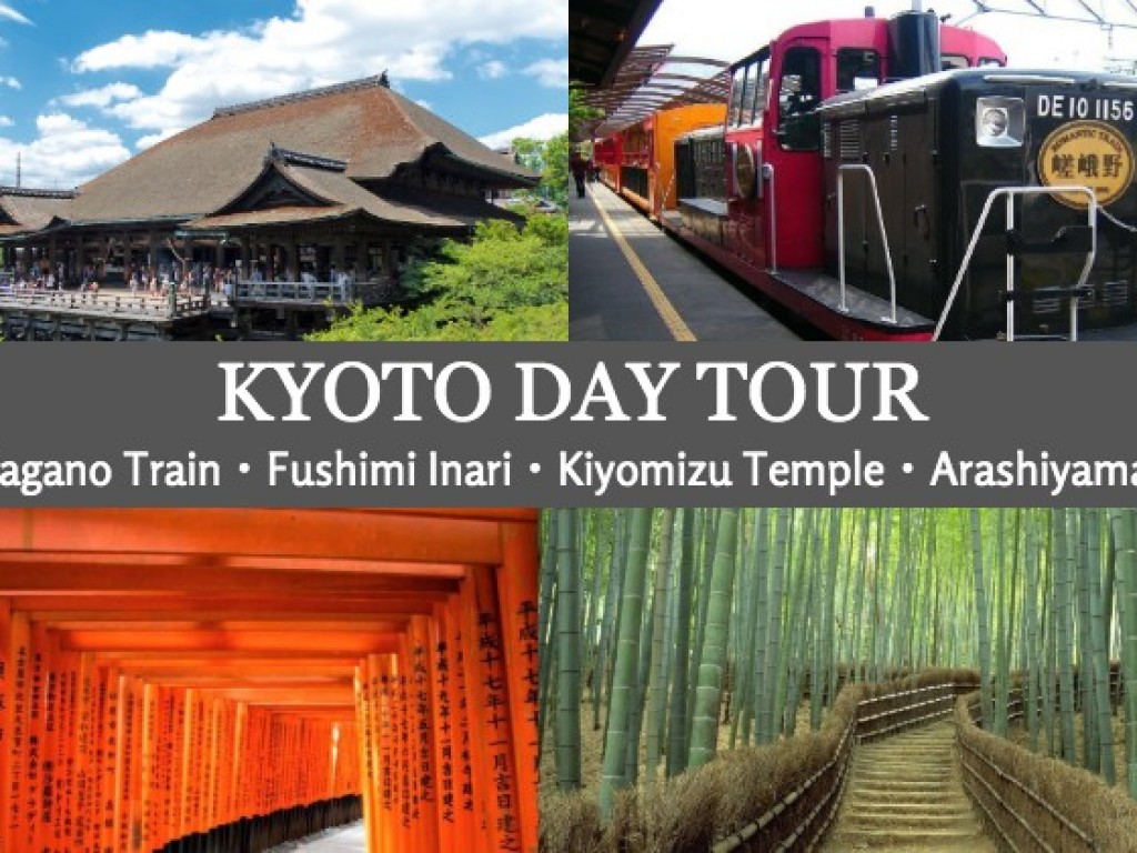 Day Tour to Kyoto from Osaka with Sagano Romantic Train 1