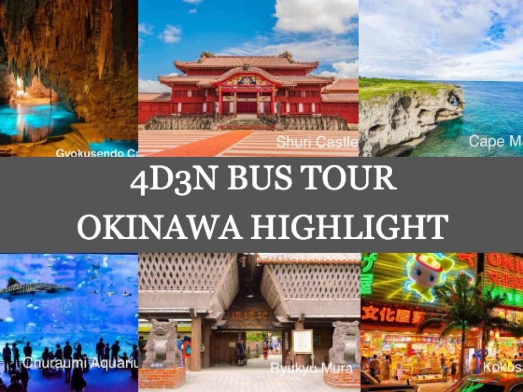 4D3N Cheap Bus Land Tour Package in Okinawa (Sold Out) 1