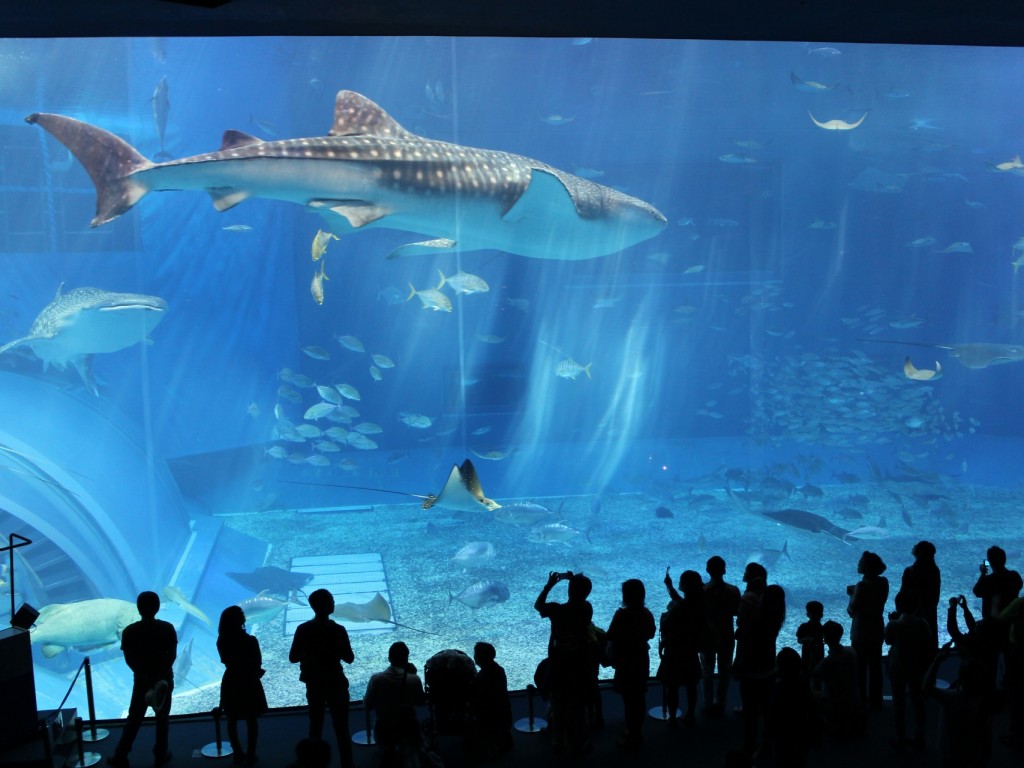 4D3N Cheap Bus Land Tour Package in Okinawa (Sold Out) 4