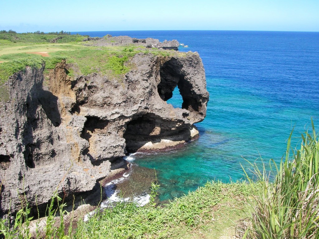 Northern Okinawa & Churaumi Aquarium Day Tour with Private Car and Driver 0