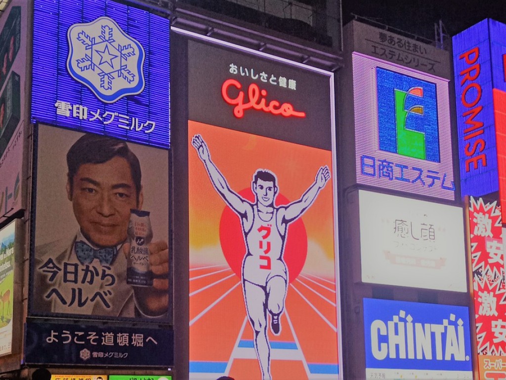 One Day Osaka City Tour with Private Car and Driver 3