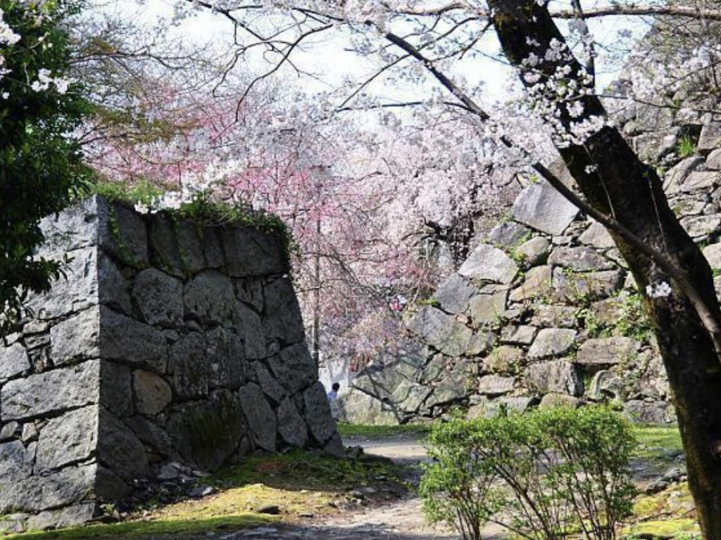 Day Tour to Fukuoka Hakata City Center 2