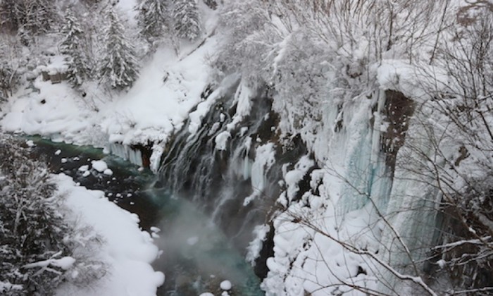 Winter Day Trip to Furano Area from Sapporo