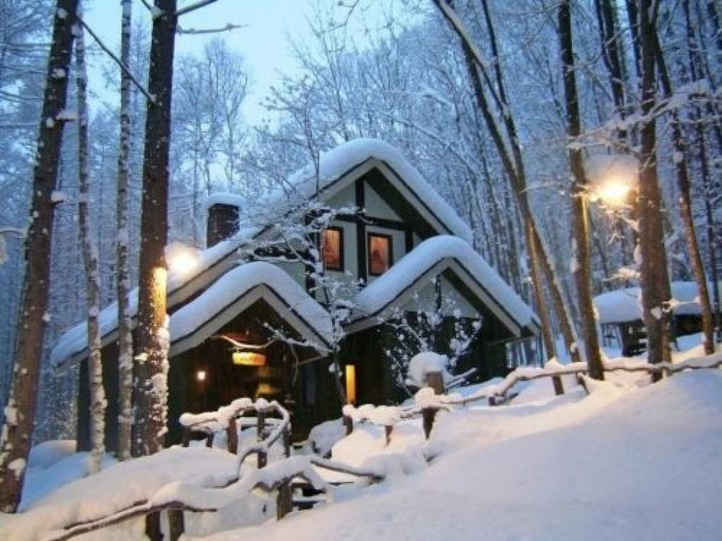 Winter Day Trip to Furano Area from Sapporo 2