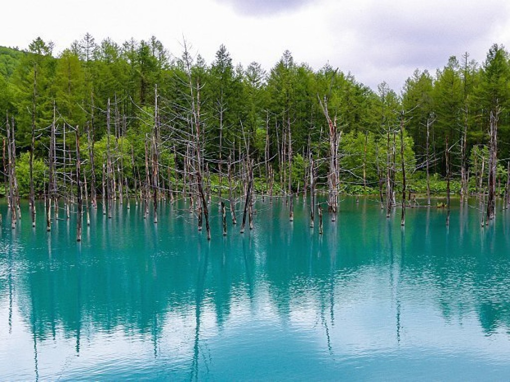 Winter Day Trip to Furano Area from Sapporo 3