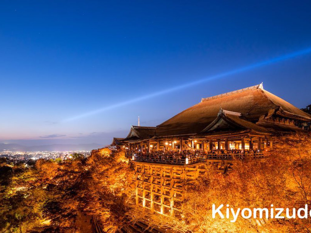 Kyoto Walking Tour with Local English-Speaking Guide 0