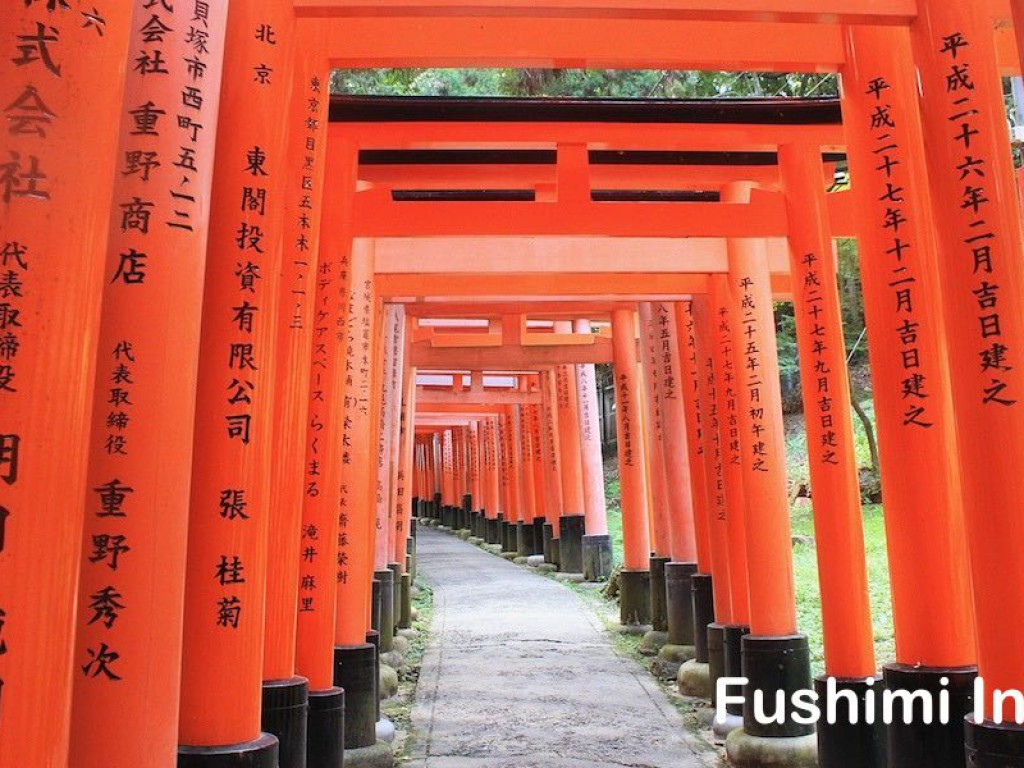 Kyoto Walking Tour with Local English-Speaking Guide 4