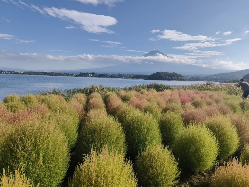 Perjalanan Sehari ke Gunung Fuji – Pemandangan Ikonik, Budaya & Belanja dalam Satu Hari 2