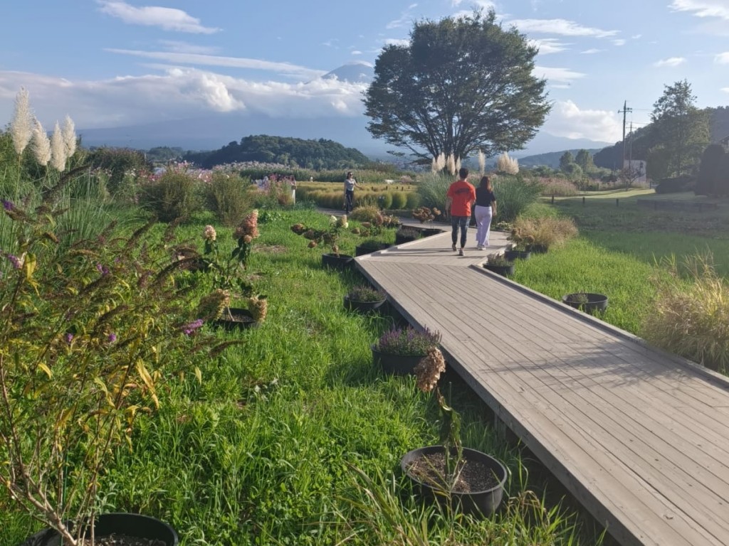 Fuji Kawaguchi Day Trip with Private Car and Driver 2