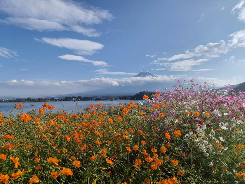 Fuji Kawaguchi Day Trip with Private Car and Driver 1