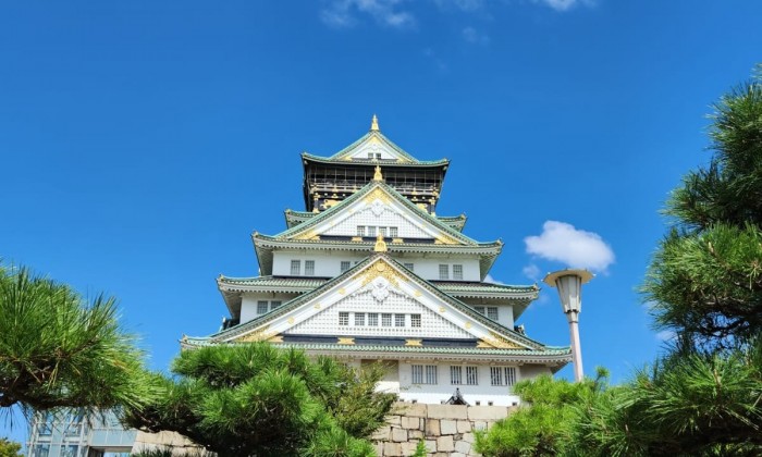 One Day Osaka City Tour with Private Car and Driver