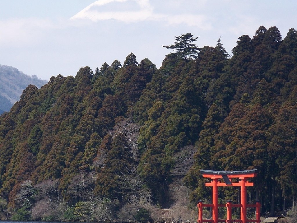 Paket Tour 1 Hari Fuji Hakone 3