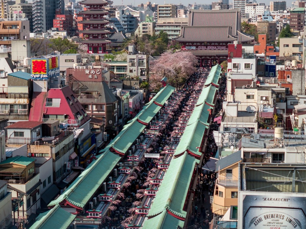 Wonderful Tokyo 1 Day Trip with Private Car and Driver 6