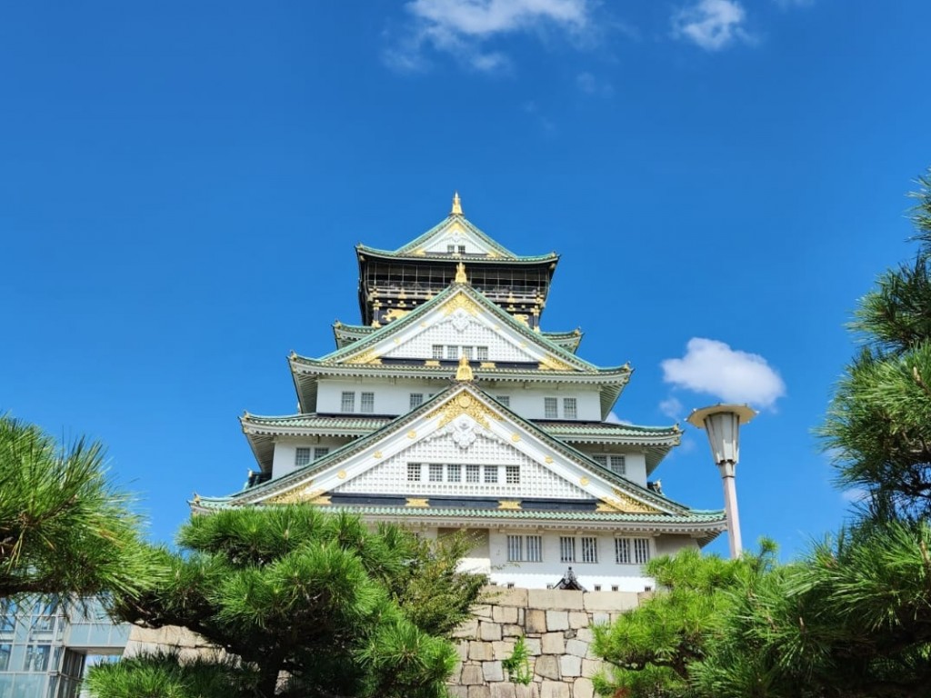 One Day Osaka City Tour with Private Car and Driver 0