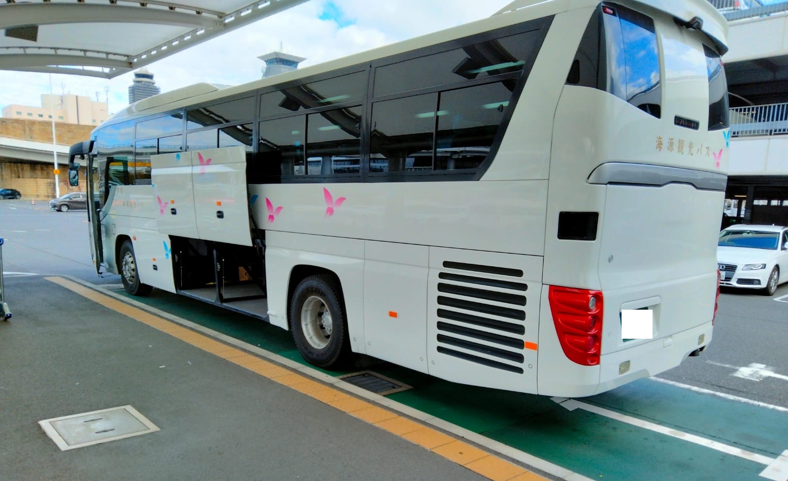 Private Daily Car Hire in Tokyo using Tokyo Large Big Bus (Coach) 3