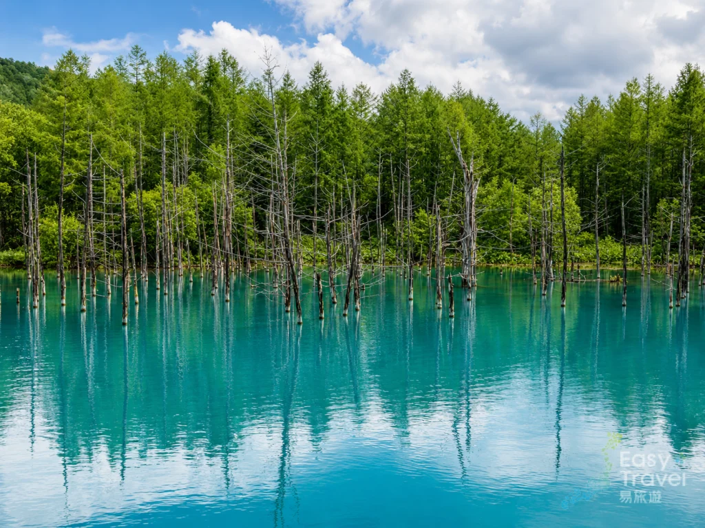 Shirogane Blue Pond