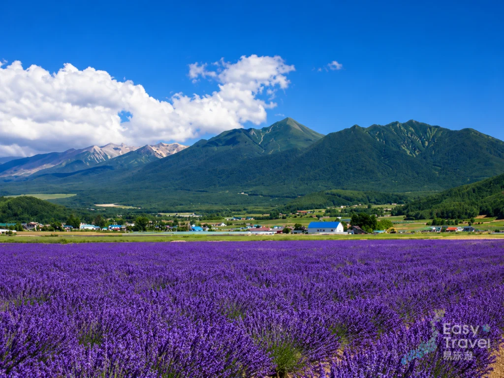 Farm Tomita