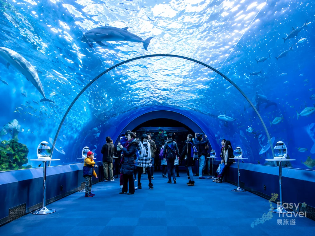 Hakkejima Aquarium