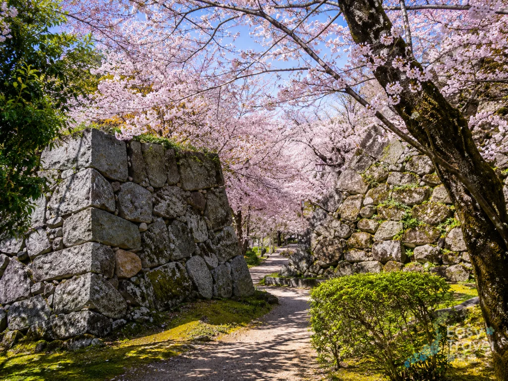 Fukuoka Castle Ruins