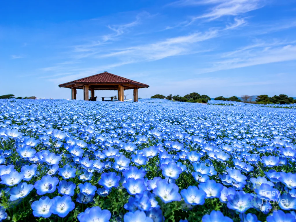 Uminokamichi Seaside Park