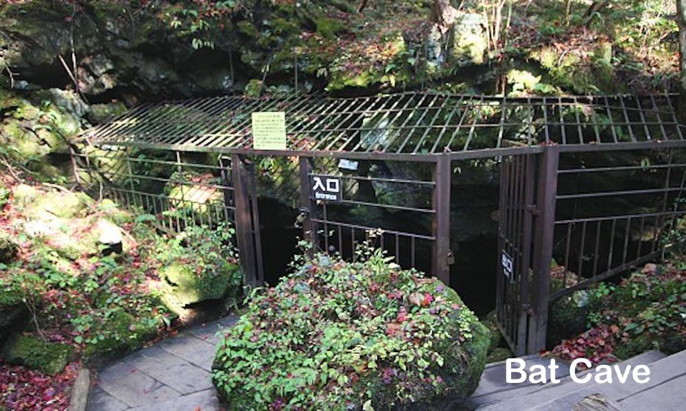 Caves Near Kawaguchiko 2