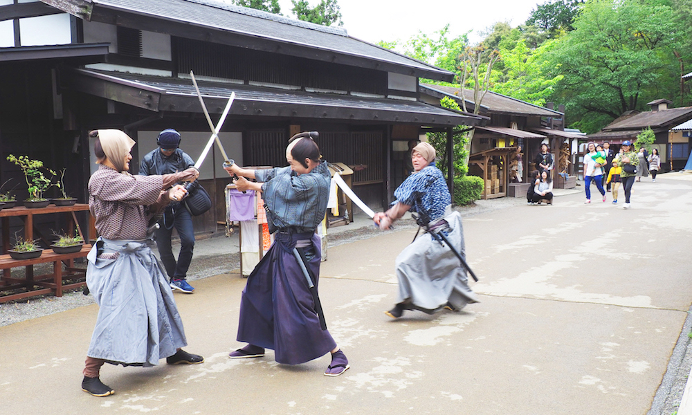 Nikko Edo wonderland 2