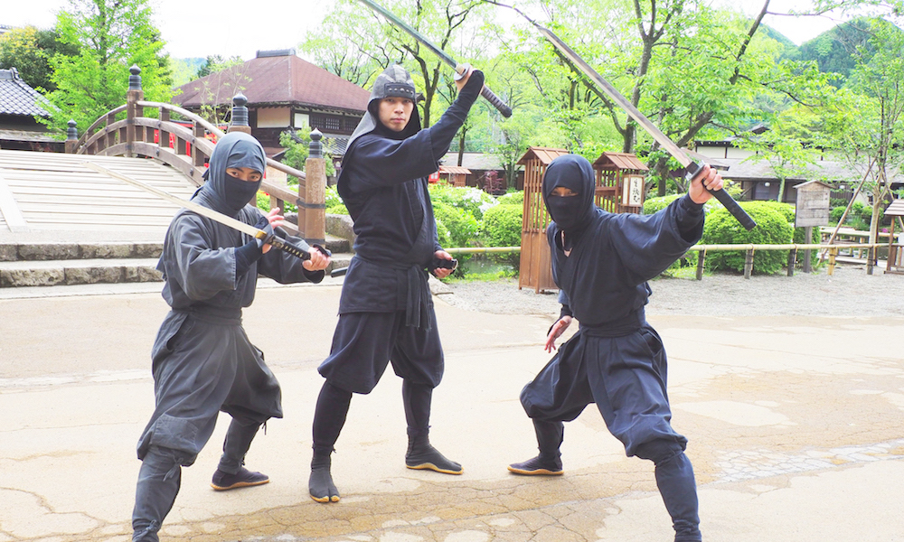 Nikko Edo wonderland 3