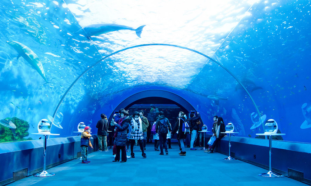 Hakkejima Sea Paradise 0