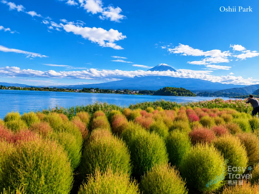 Oishi Park