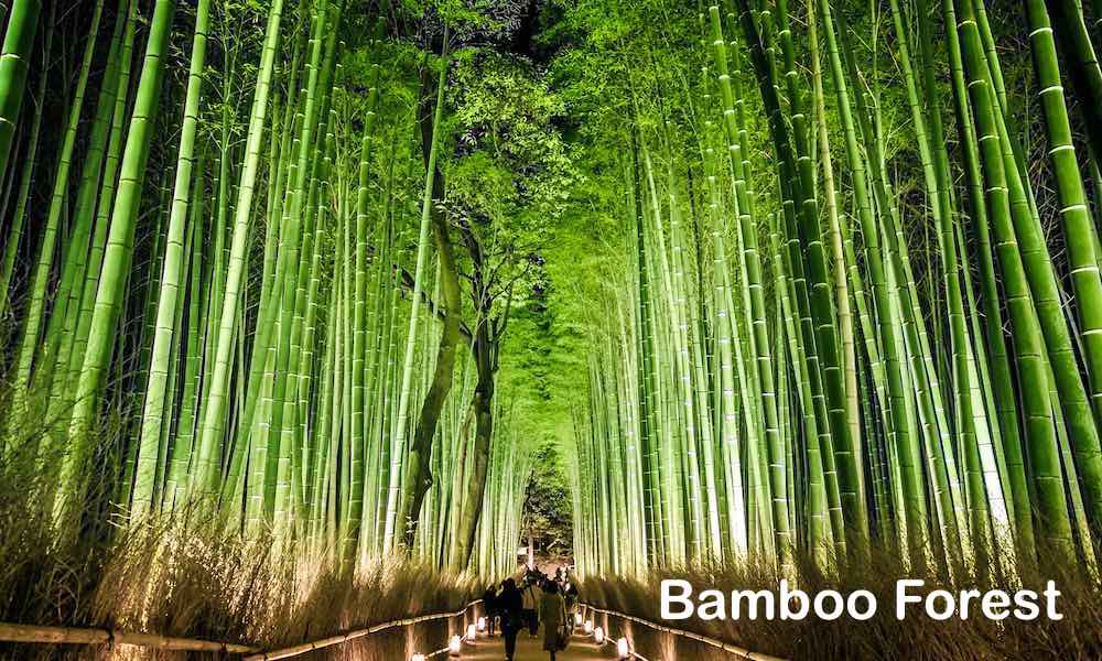 Arashiyama